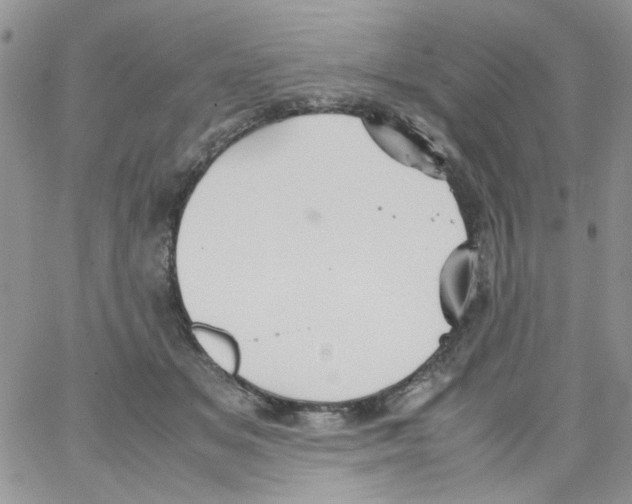 X0000064040509200602242324