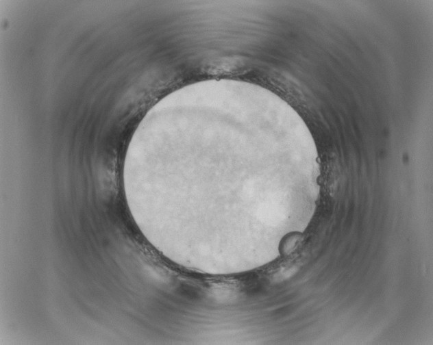 X0000064040510200602242324