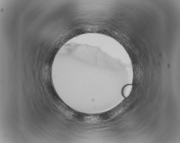 X0000064040511200602242324