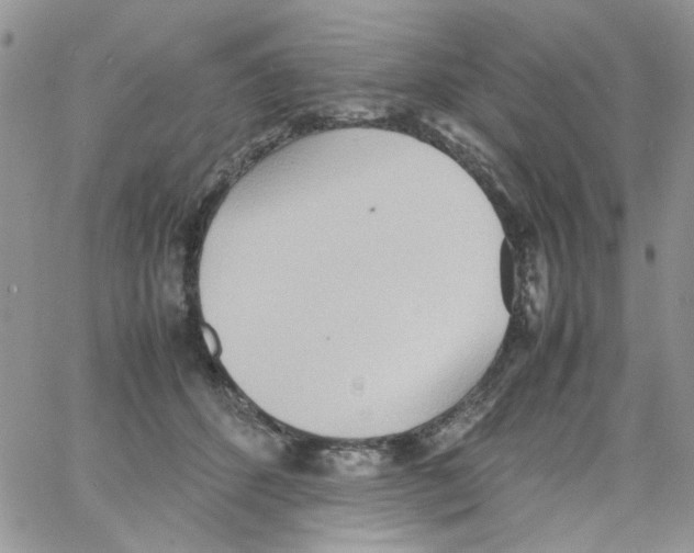 X0000064040512200602242324