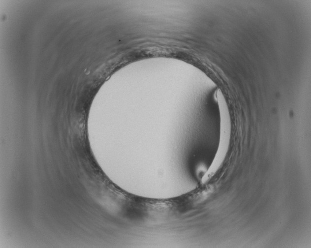 X0000064040513200602242324