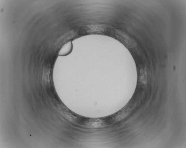 X0000064040514200602242324