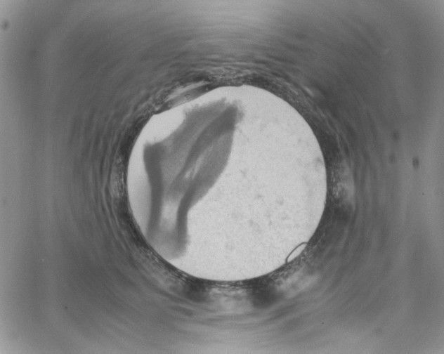 X0000064040515200602242324