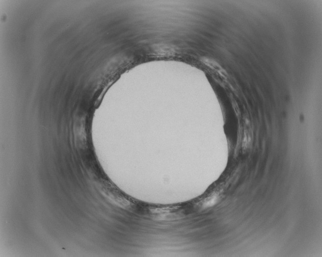 X0000064040516200602242324