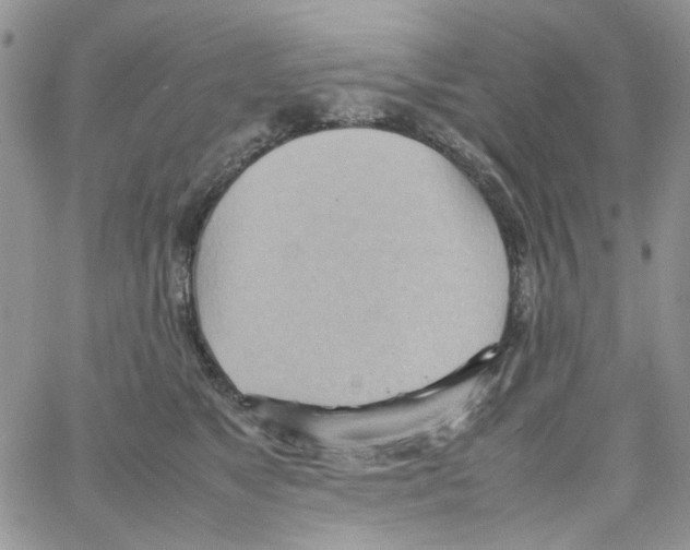 X0000064040517200602242324