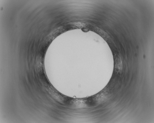 X0000064040518200602242324