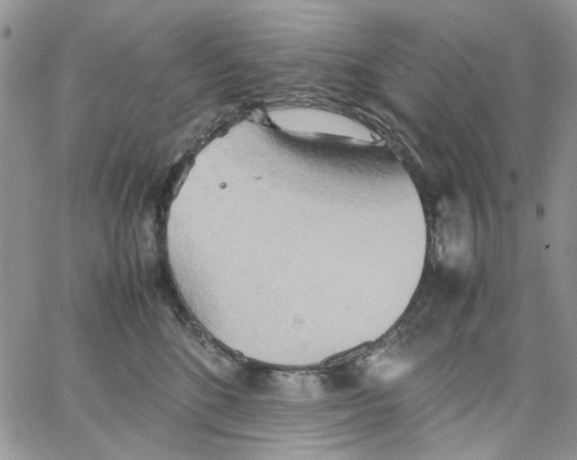 X0000064040520200602242324