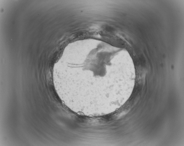 X0000064040523200602242324