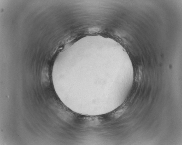 X0000064040524200602242324