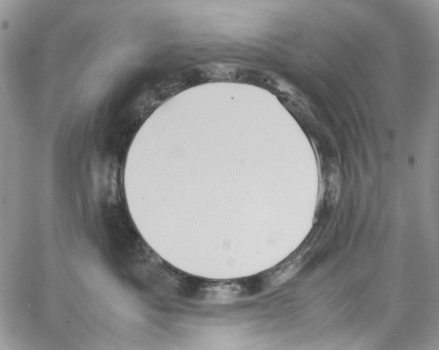 X0000064040525200602242323