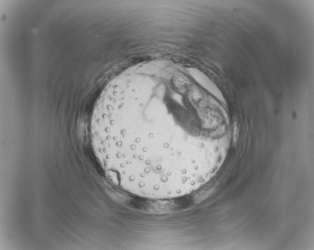 X0000064040527200602242323