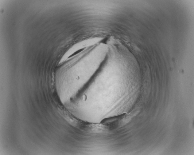 X0000064040528200602242323