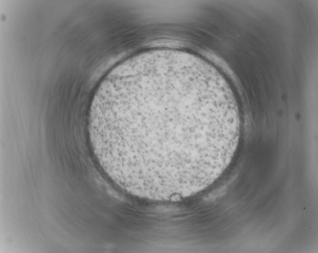 X0000064040529200602242323