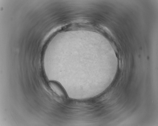 X0000064040531200602242323