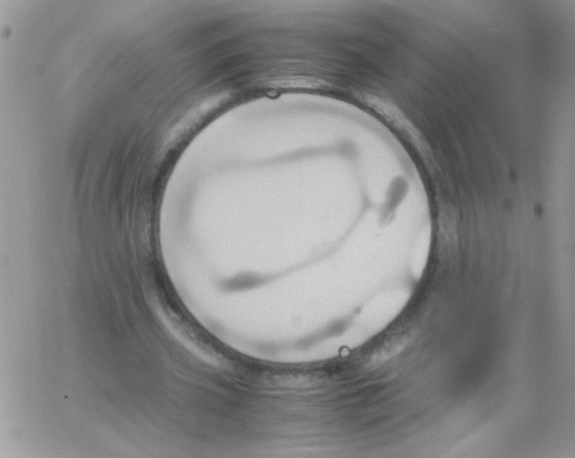 X0000064040533200602242323