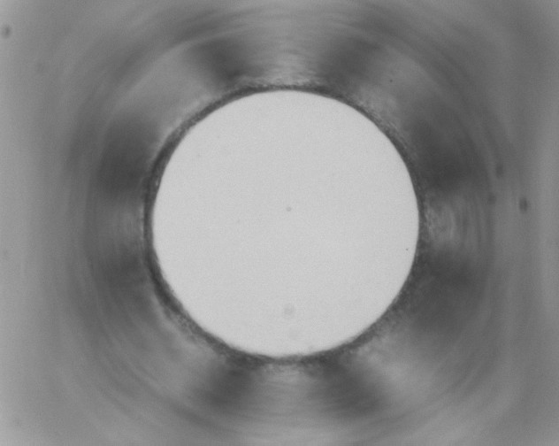 X0000064040534200602242323