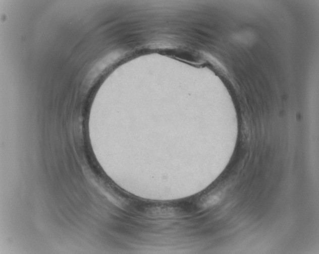 X0000064040535200602242323