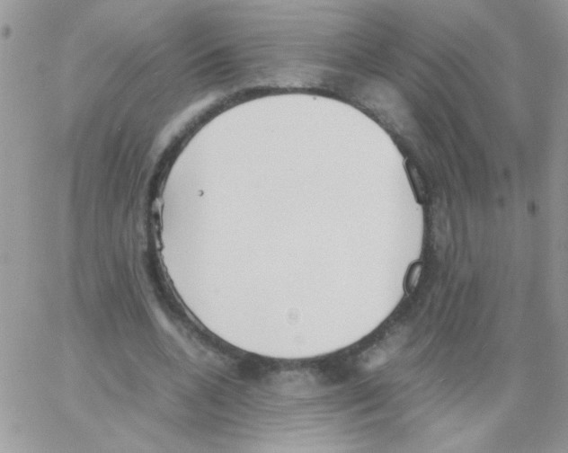 X0000064040536200602242323