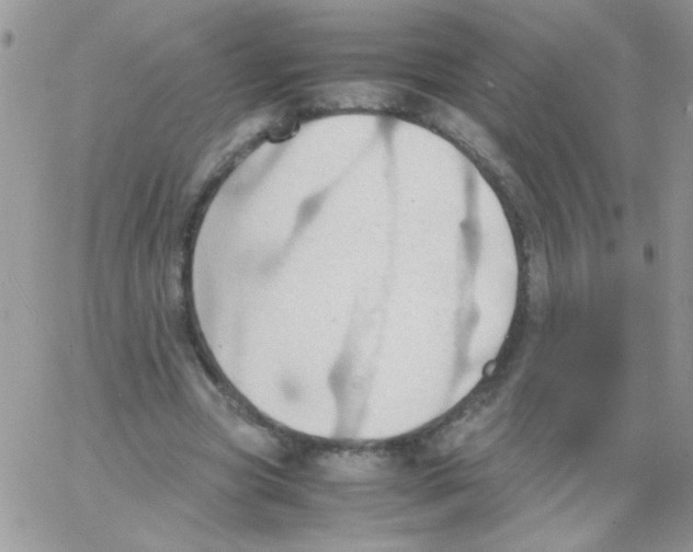 X0000064040537200602242323