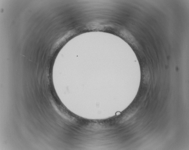 X0000064040538200602242323