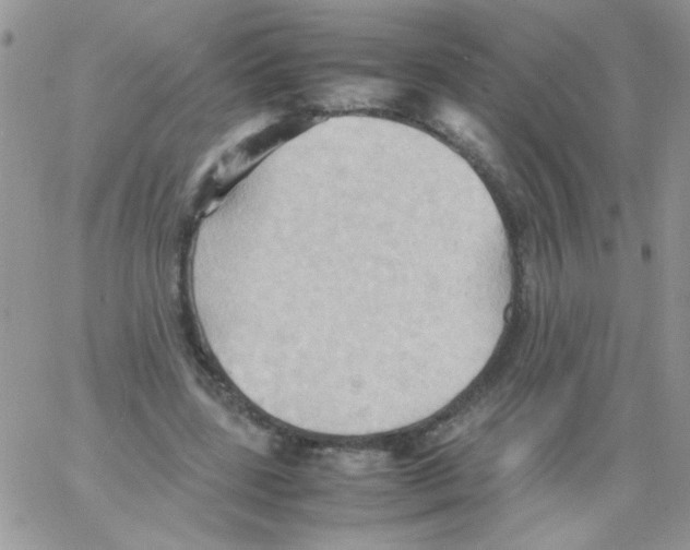 X0000064040539200602242323