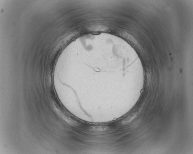 X0000064040541200602242323