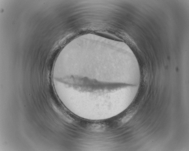 X0000064040542200602242323