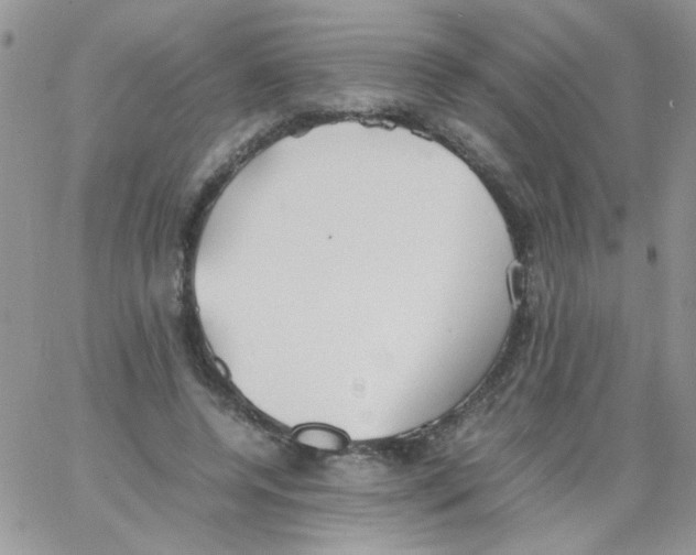 X0000064040544200602242323