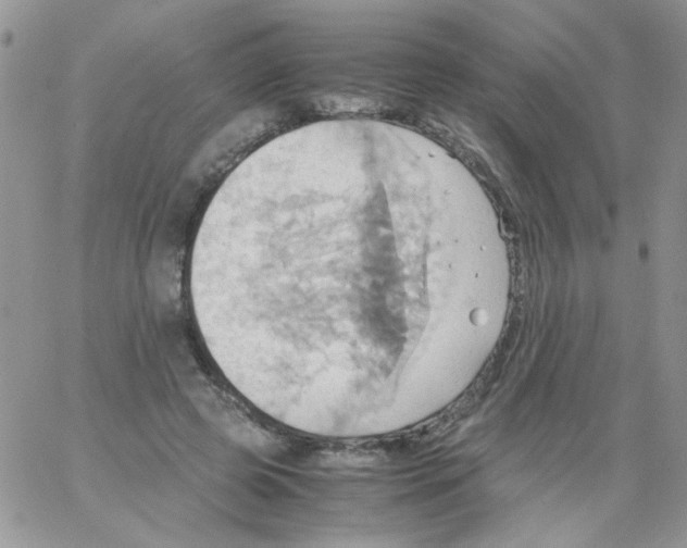 X0000064040545200602242323