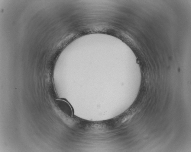 X0000064040546200602242323