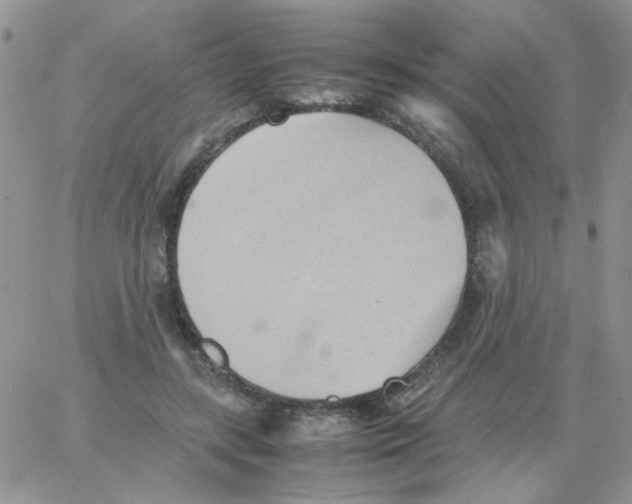 X0000064040547200602242323