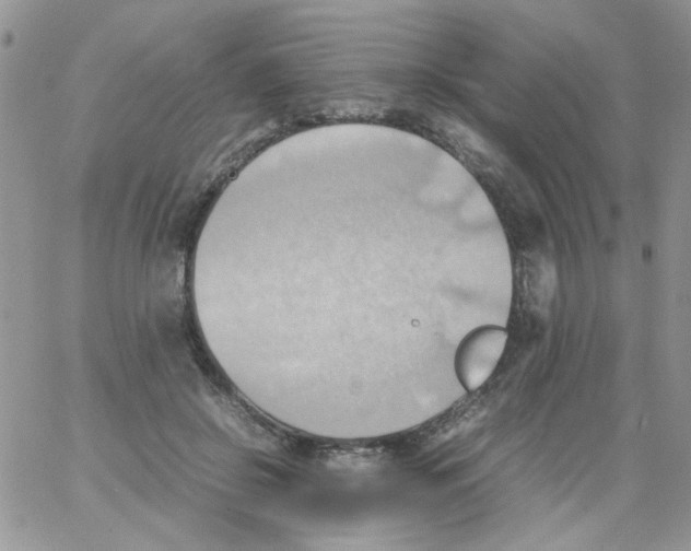 X0000064040550200602242323