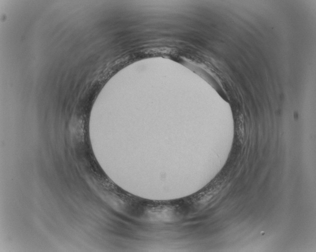 X0000064040551200602242323