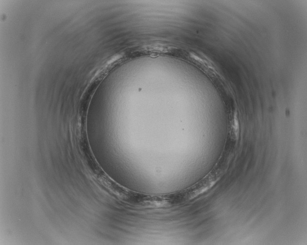 X0000064040552200602242323