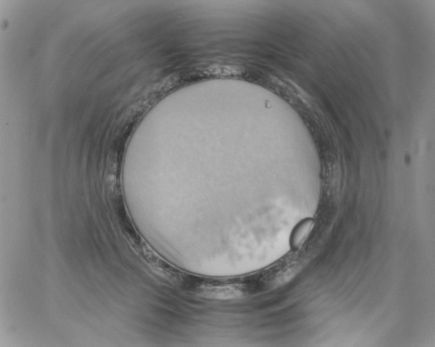 X0000064040553200602242323