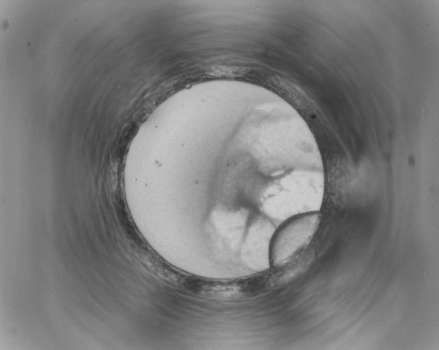 X0000064040554200602242323