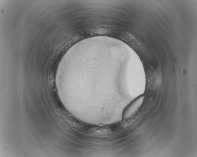 X0000064040555200602242323