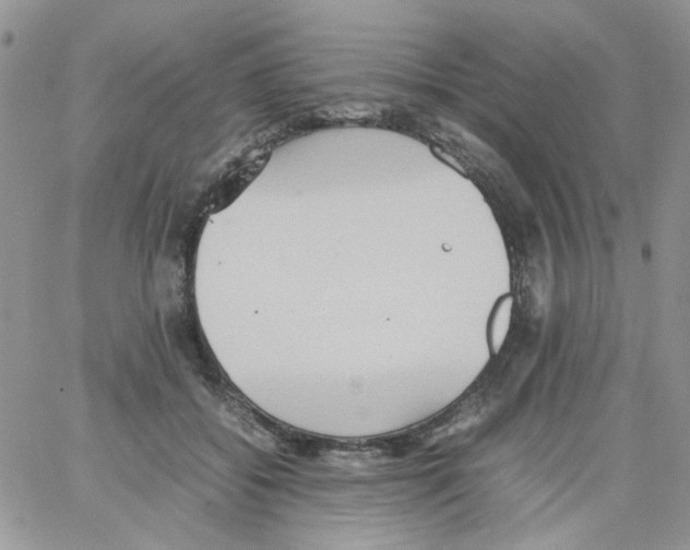 X0000064040556200602242323