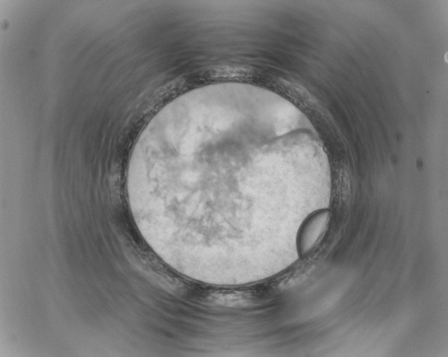 X0000064040557200602242323