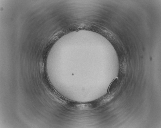 X0000064040558200602242323