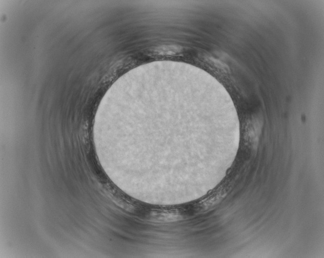 X0000064040559200602242323