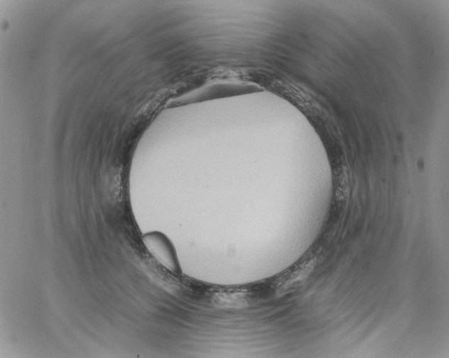 X0000064040560200602242323