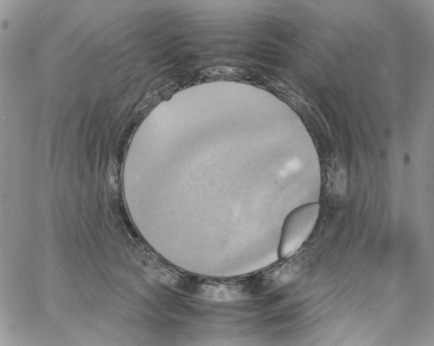 X0000064040561200602242323