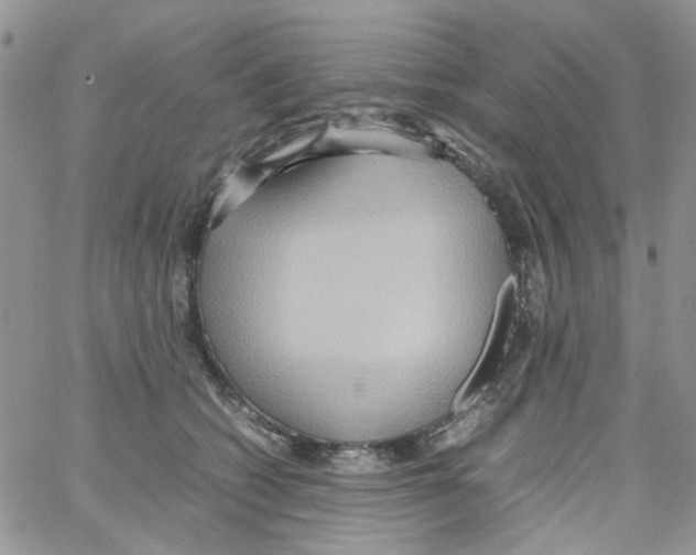 X0000064040562200602242323