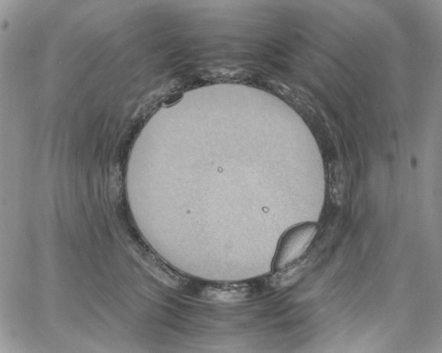 X0000064040563200602242323