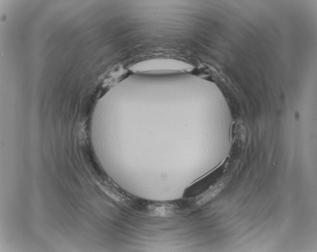 X0000064040564200602242323