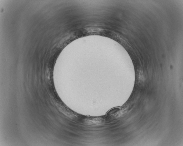 X0000064040567200602242323