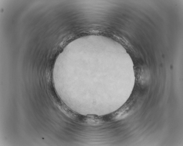 X0000064040568200602242323