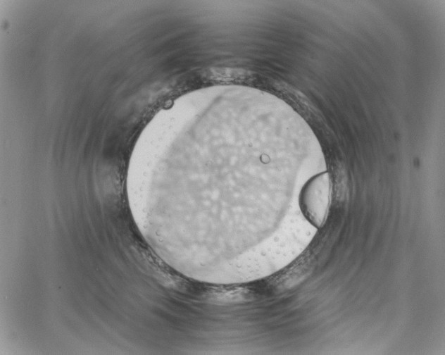 X0000064040569200602242323