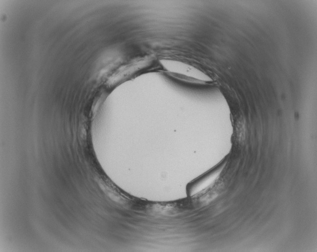 X0000064040570200602242323